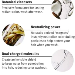 Aveda Color Control Shampoo -Promos Beau Lisse Boutique aveda color control shampoo shampoing protecteur de cheveux sans sulfates ni parabenes 4