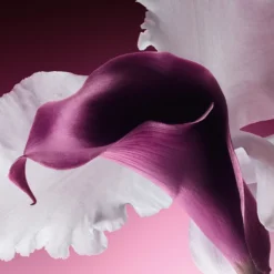 DIOR Capture Totale Le Sérum 10 DIOR Capture Totale Le Sérum -Promos Beau Lisse Boutique dior capture totale le serum serum anti age fermete jeunesse et eclat 3