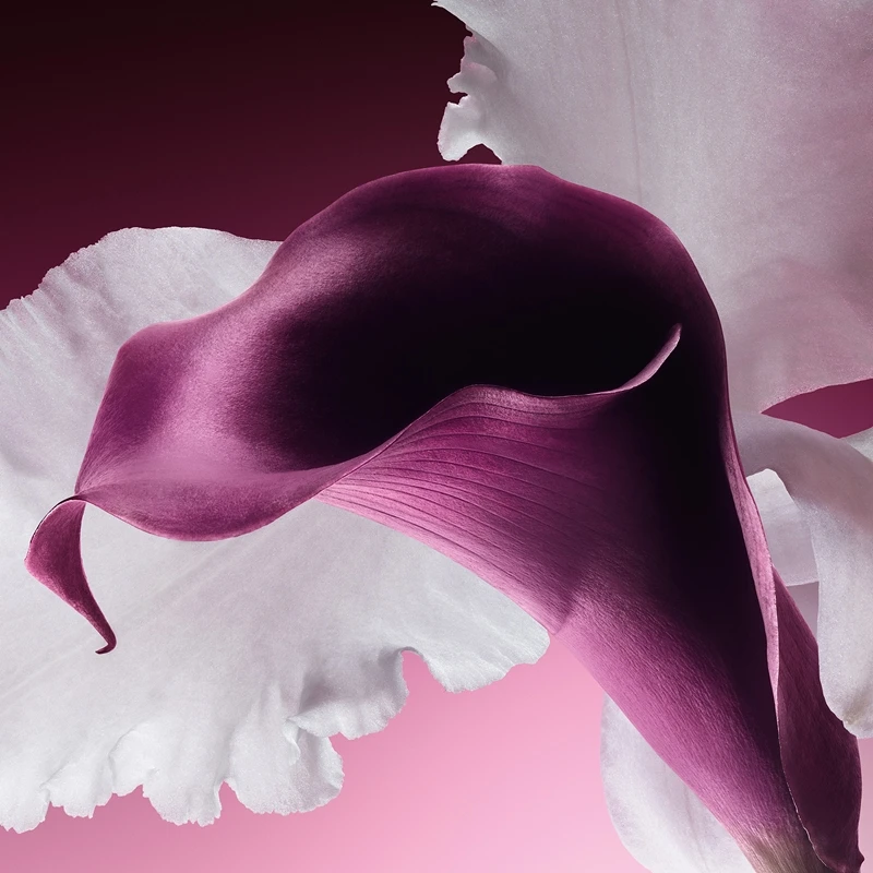 DIOR Capture Totale Le Sérum 6 DIOR Capture Totale Le Sérum – Image 4