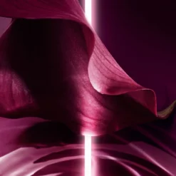 DIOR Capture Totale Super Potent Rich Creme -Promos Beau Lisse Boutique dior capture totale super potent rich creme creme riche anti age global nutrition reparation intenses 4