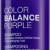 Joico Color Balance Purple Shampoo 1 Joico Color Balance Purple Shampoo -Promos Beau Lisse Boutique joico color balance purple shampoo shampoing violet anti jaunissement