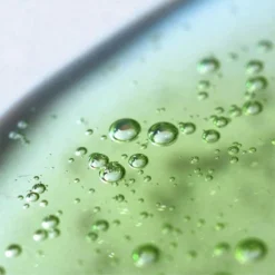 WHAMISA Cactus Bouncy Serum -Promos Beau Lisse Boutique whamisa cactus bouncy serum serum liftant effet intense 1