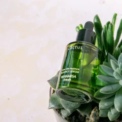 WHAMISA Cactus Bouncy Serum -Promos Beau Lisse Boutique whamisa cactus bouncy serum serum liftant effet intense 2